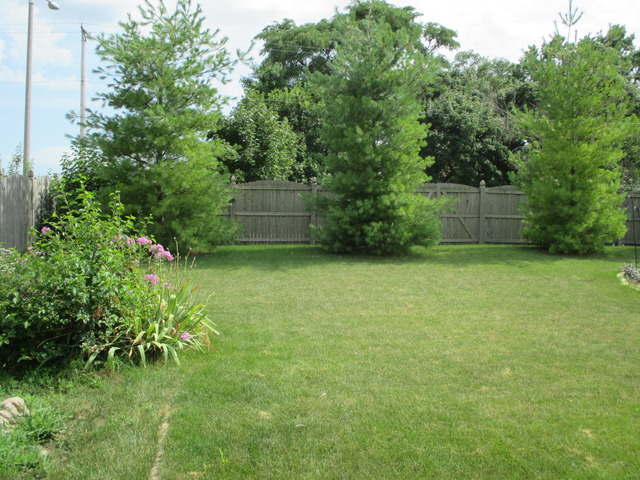 2135 E Rock Ridge Dr, Diamond, IL 60416 photo 22