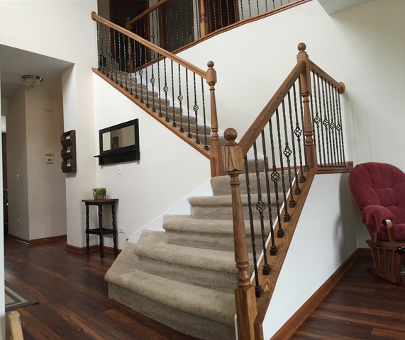 11423 Glenbrook Cir, Plainfield, IL 60585 photo 3