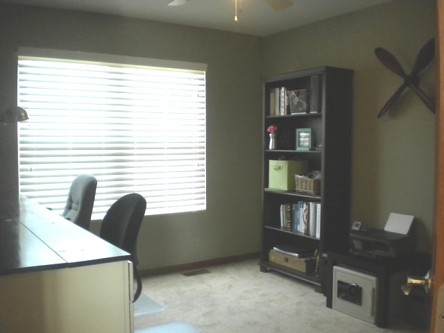 11423 Glenbrook Cir, Plainfield, IL 60585 photo 20