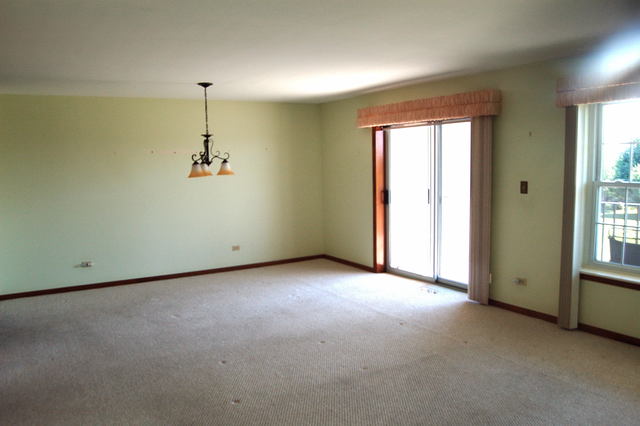 13750 Bristlecone Dr #308, Plainfield, IL 60544 photo 4