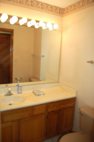 13750 Bristlecone Dr #308, Plainfield, IL 60544 photo 12