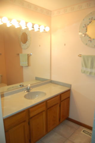 13750 Bristlecone Dr #308, Plainfield, IL 60544 photo 11