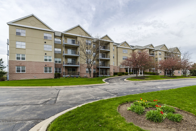 13750 Bristlecone Dr #308, Plainfield, IL 60544 photo 3