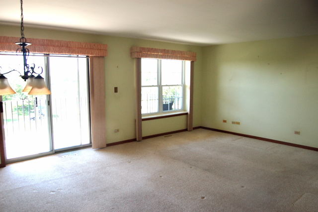 13750 Bristlecone Dr #308, Plainfield, IL 60544 photo 5