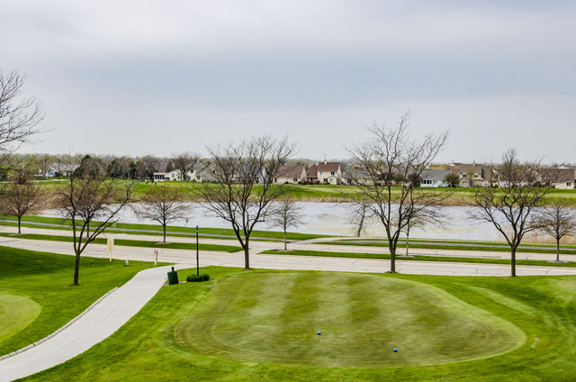 13750 Bristlecone Dr #308, Plainfield, IL 60544 photo 22