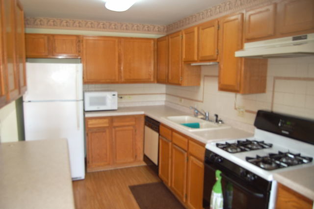 13750 Bristlecone Dr #308, Plainfield, IL 60544 photo 6