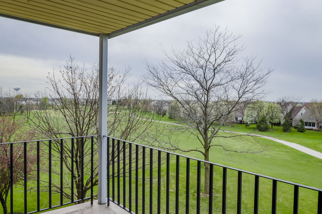 13750 Bristlecone Dr #308, Plainfield, IL 60544 photo 15