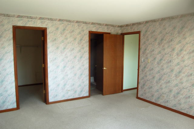 13750 Bristlecone Dr #308, Plainfield, IL 60544 photo 9