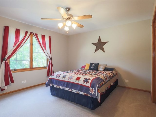 13407 Wellesley Ct, Plainfield, IL 60585 photo 15