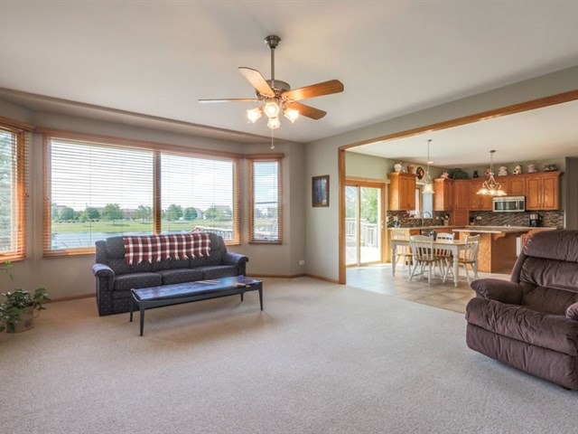 13407 Wellesley Ct, Plainfield, IL 60585 photo 6