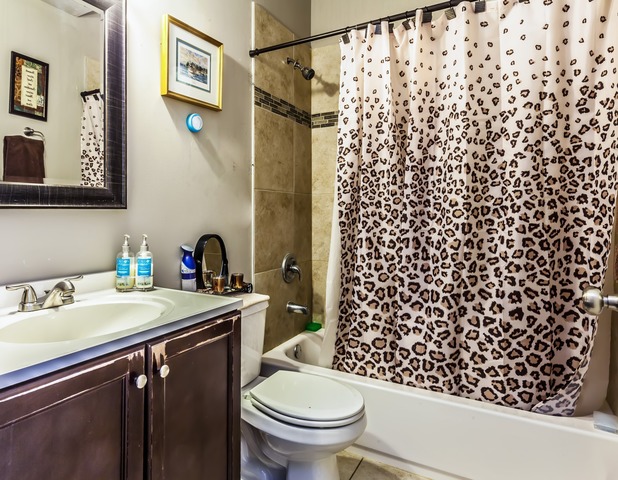 6136 S Champlain Ave, Chicago, IL 60637 photo 9