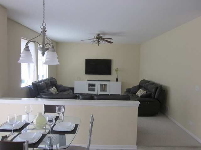 145 Ruzich Dr, Bartlett, IL 60103 photo 8