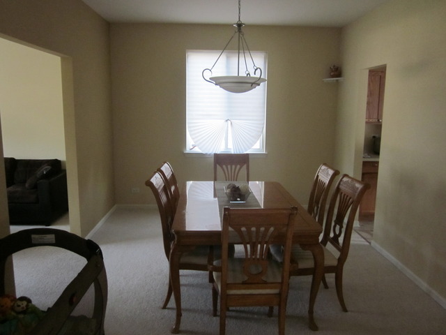 145 Ruzich Dr, Bartlett, IL 60103 photo 3