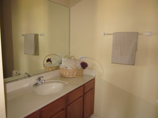 145 Ruzich Dr, Bartlett, IL 60103 photo 20