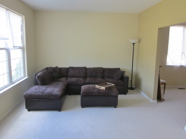 145 Ruzich Dr, Bartlett, IL 60103 photo 4