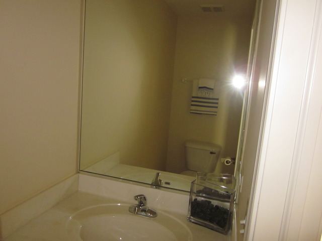 145 Ruzich Dr, Bartlett, IL 60103 photo 11