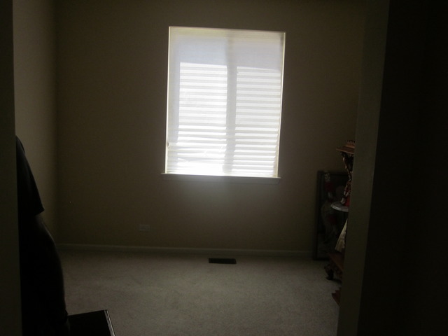 145 Ruzich Dr, Bartlett, IL 60103 photo 9