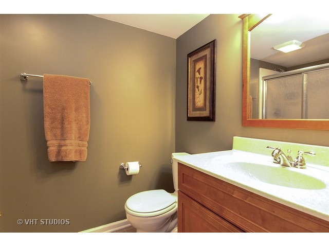 256 Alpine Dr, Gilberts, IL 60136 photo 14