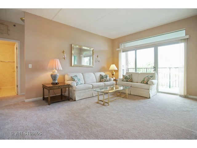 3100 Town Square Dr #206, Rolling Meadows, IL 60008 photo 2