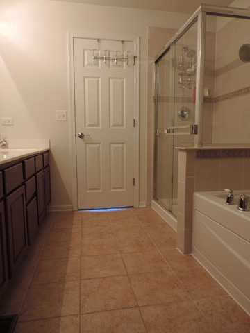25142 Spring St, Manhattan, IL 60442 photo 11