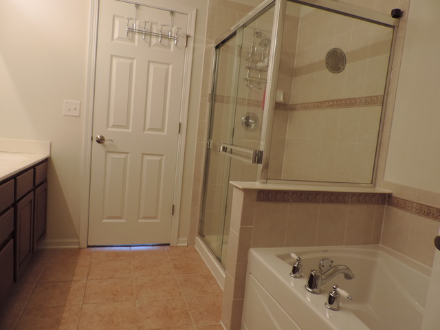 25142 Spring St, Manhattan, IL 60442 photo 10