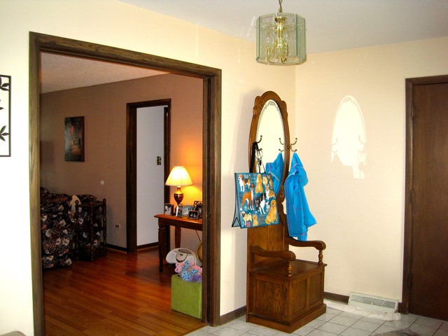 302 S Meier Rd, Mount Prospect, IL 60056 photo 6