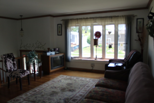 5830 Stuart Ln, Oak Forest, IL 60452 photo 2
