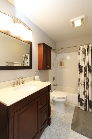 1132 E Cunningham Dr, Palatine, IL 60074 photo 9