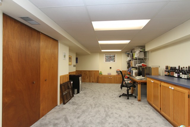 1132 E Cunningham Dr, Palatine, IL 60074 photo 14