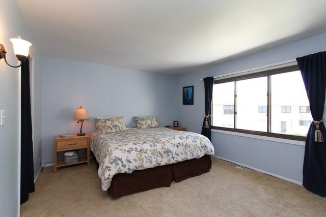 1132 E Cunningham Dr, Palatine, IL 60074 photo 8