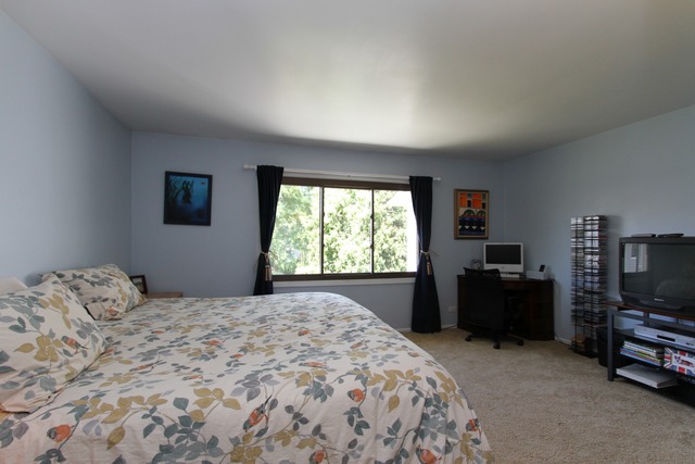 1132 E Cunningham Dr, Palatine, IL 60074 photo 22