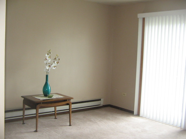 7344 W 85th Pl #1B, Bridgeview, IL 60455 photo 3