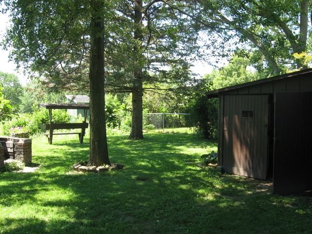 409 W Winfield St, Morrison, IL 61270 photo 4