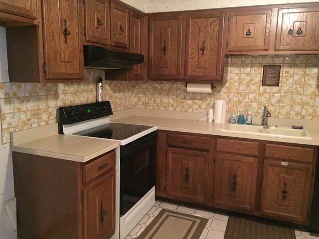 7349 W 79th Pl #2F, Bridgeview, IL 60455 photo 12