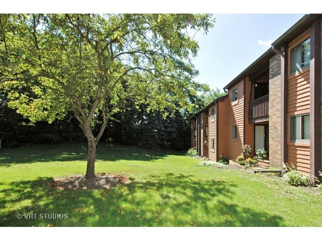 685 Waverly Dr #D, Elgin, IL 60120 photo 9