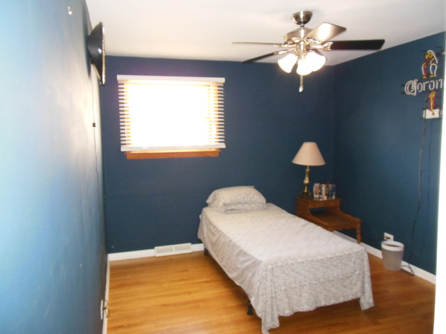 516 Spring St, Roselle, IL 60172 photo 17