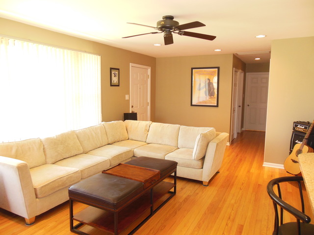 516 Spring St, Roselle, IL 60172 photo 11