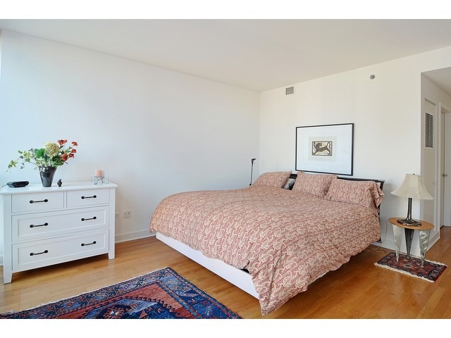 250 E Pearson St #1902, Chicago, IL 60611 photo 12