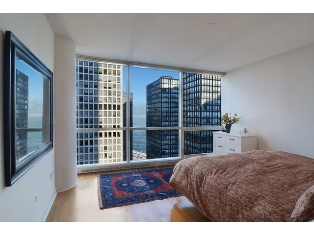 250 E Pearson St #1902, Chicago, IL 60611 photo 11
