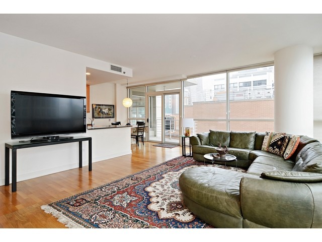 250 E Pearson St #1902, Chicago, IL 60611 photo 5