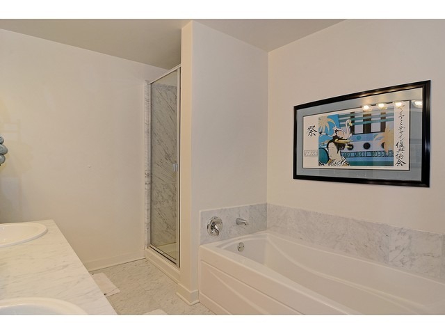 250 E Pearson St #1902, Chicago, IL 60611 photo 14