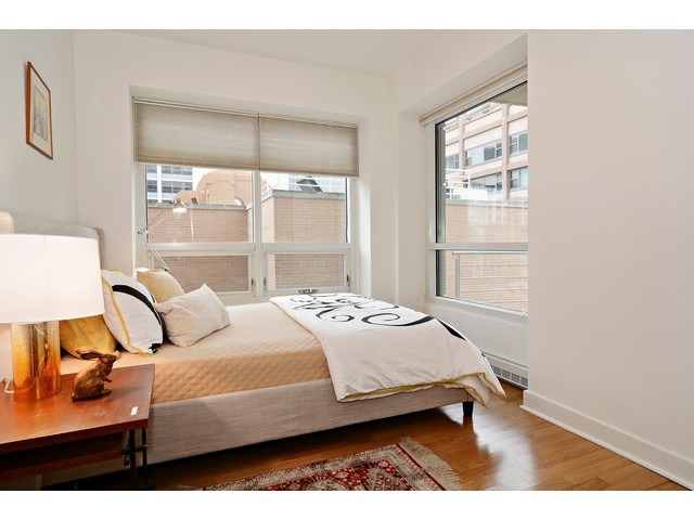 250 E Pearson St #1902, Chicago, IL 60611 photo 21
