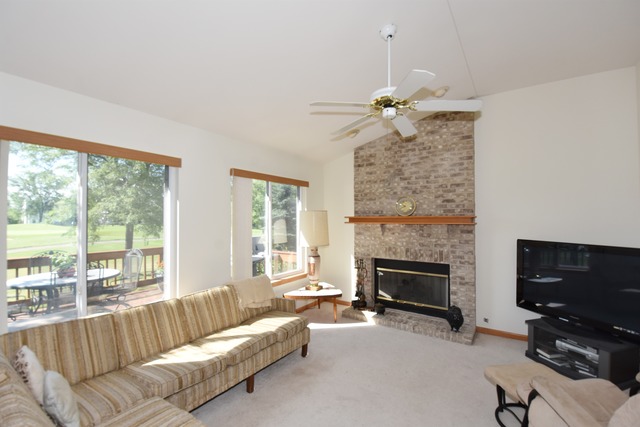 13853 S Tamarack Dr, Plainfield, IL 60544 photo 9