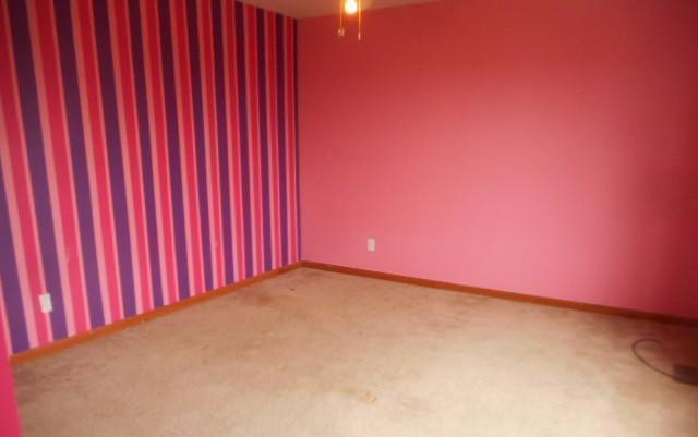 1213 Union Dr, Davis Junction, IL 61020 photo 16