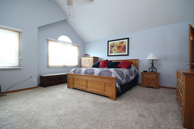 910 Hampton Dr, Carol Stream, IL 60188 photo 17