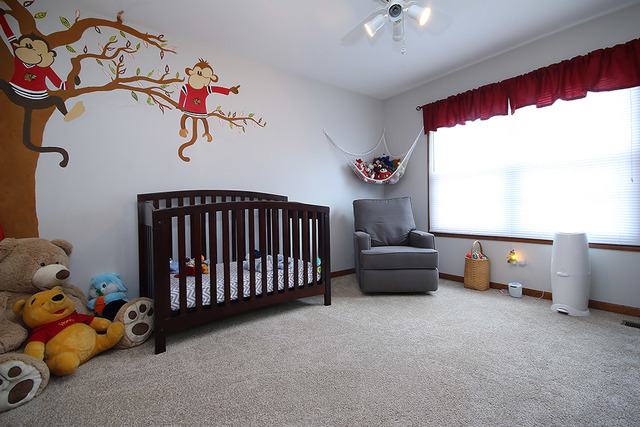 910 Hampton Dr, Carol Stream, IL 60188 photo 21