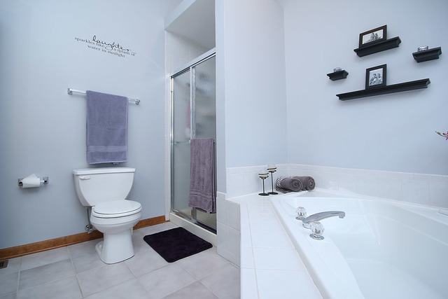 910 Hampton Dr, Carol Stream, IL 60188 photo 19