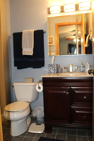 307 Creekside Trl #A, Mchenry, IL 60050 photo 11