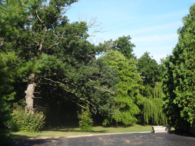 2888 Constance Ln, Marengo, IL 60152 photo 23