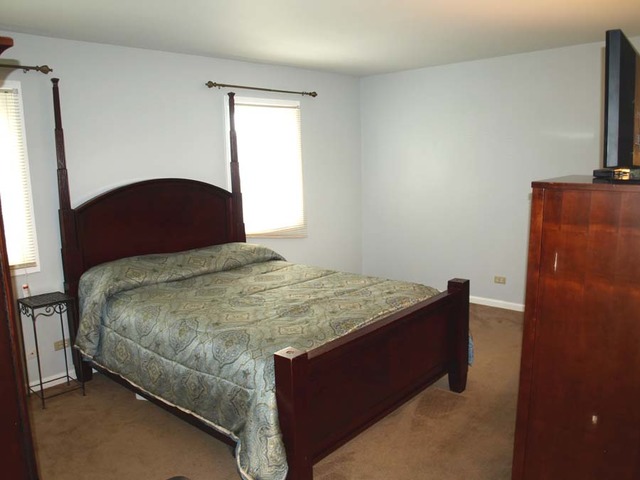 102 Deerpath Rd, Matteson, IL 60443 photo 9